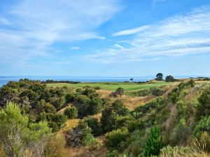 Cape Kidnappers 5th Bush